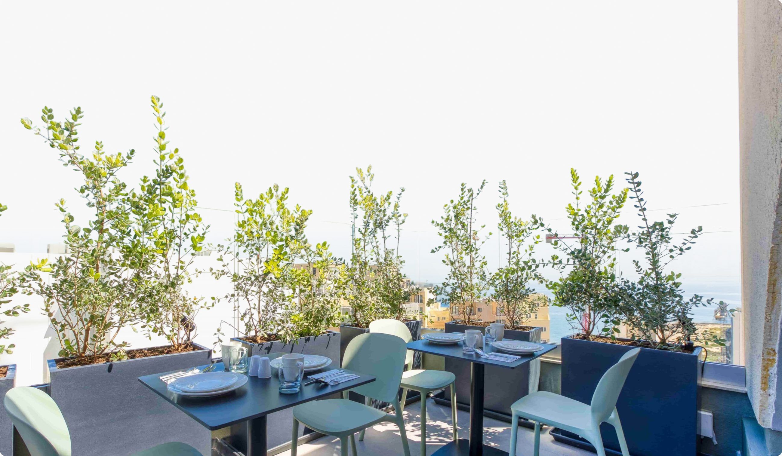 Sunny hotel roof terrace with dining tables, chairs and potted olive trees